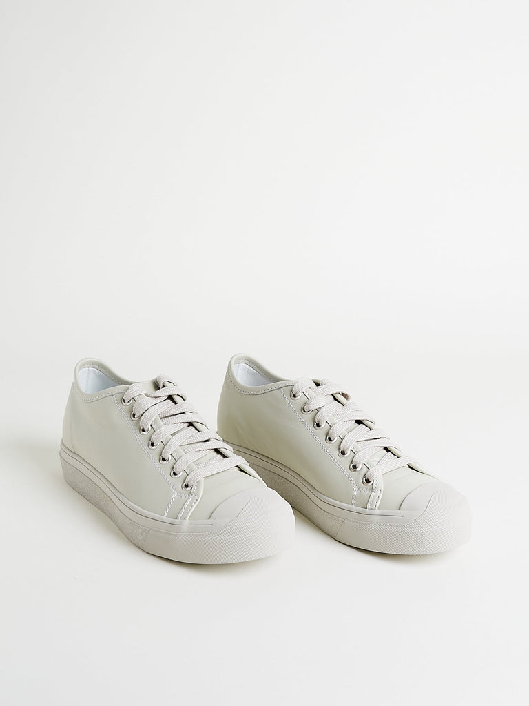 Sofie D'Hoore Folk Sneakers in Mastic